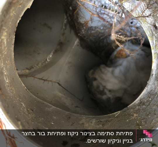 צינור סתום עם שורשים ולכלוך